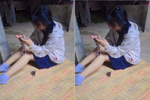 Tiêu đề mới: Bạn đến nhà không kìm chế được phải ôm chặt lấy nhau